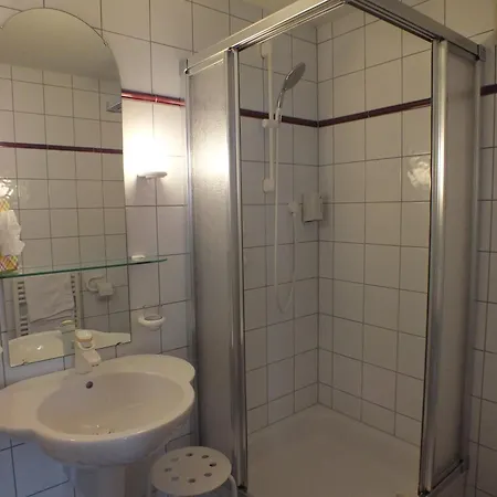Hotel-gasthof Zum Weyssen Rossle 3* 쉴타크