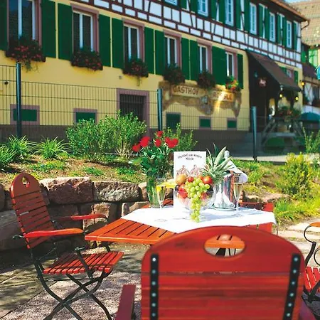호텔 Hotel-gasthof Zum Weyssen Rossle 3*