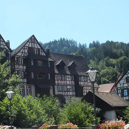 호텔 Hotel-gasthof Zum Weyssen Rossle