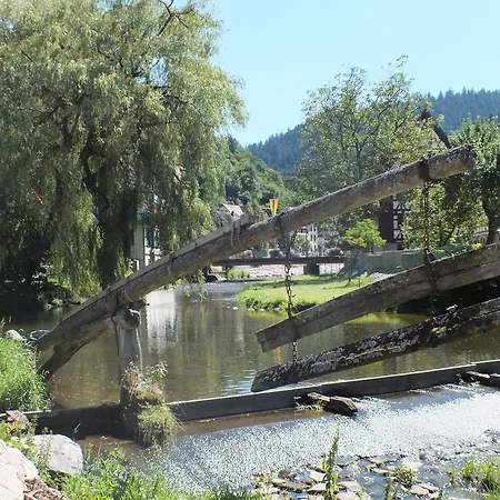 Hotel-gasthof Zum Weyssen Roessle
