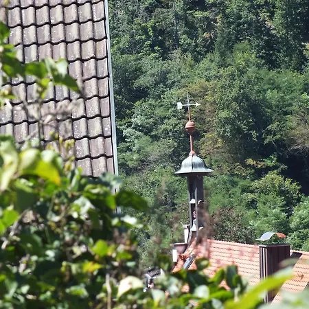 Hotel-gasthof Zum Weyssen Roessle