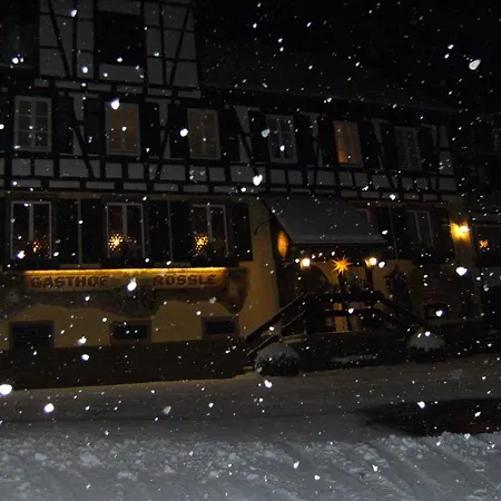 Hotel-gasthof Zum Weyssen Roessle Hotel 3*